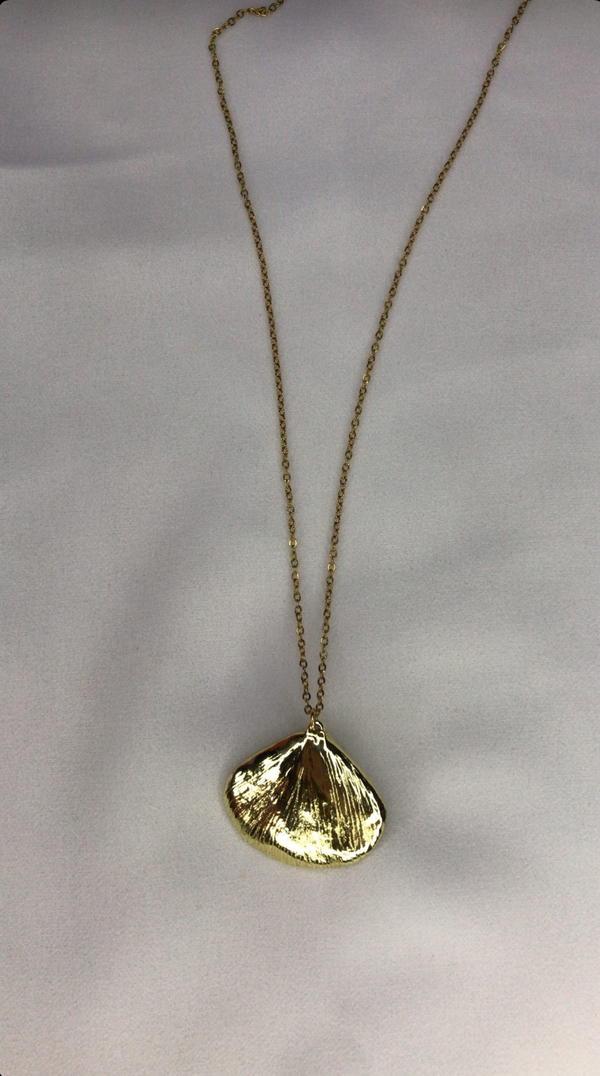 shell necklace  Image 2 Preview