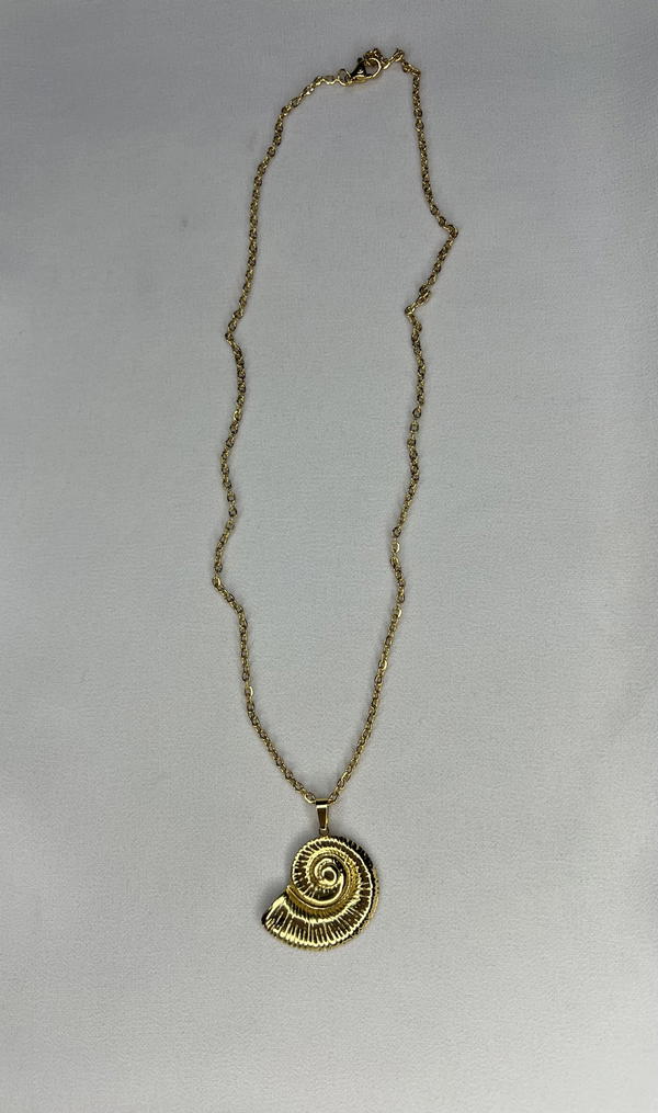 shell necklace  Image 2 Preview