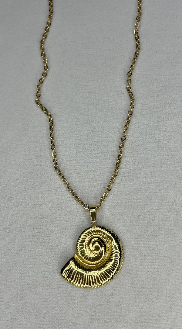 shell necklace  Image 3 Preview