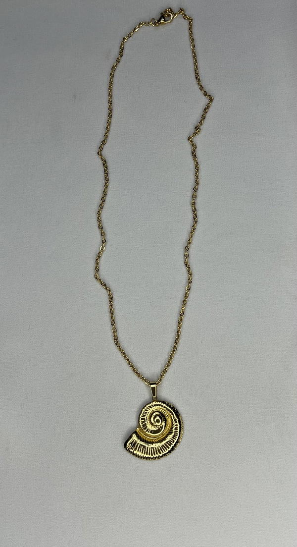 shell necklace  Image 4 Preview