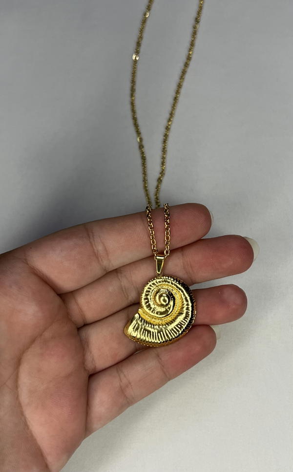 shell necklace  Image 5 Preview