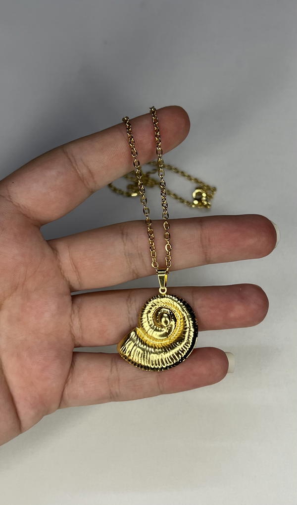 shell necklace  Image 6 Preview