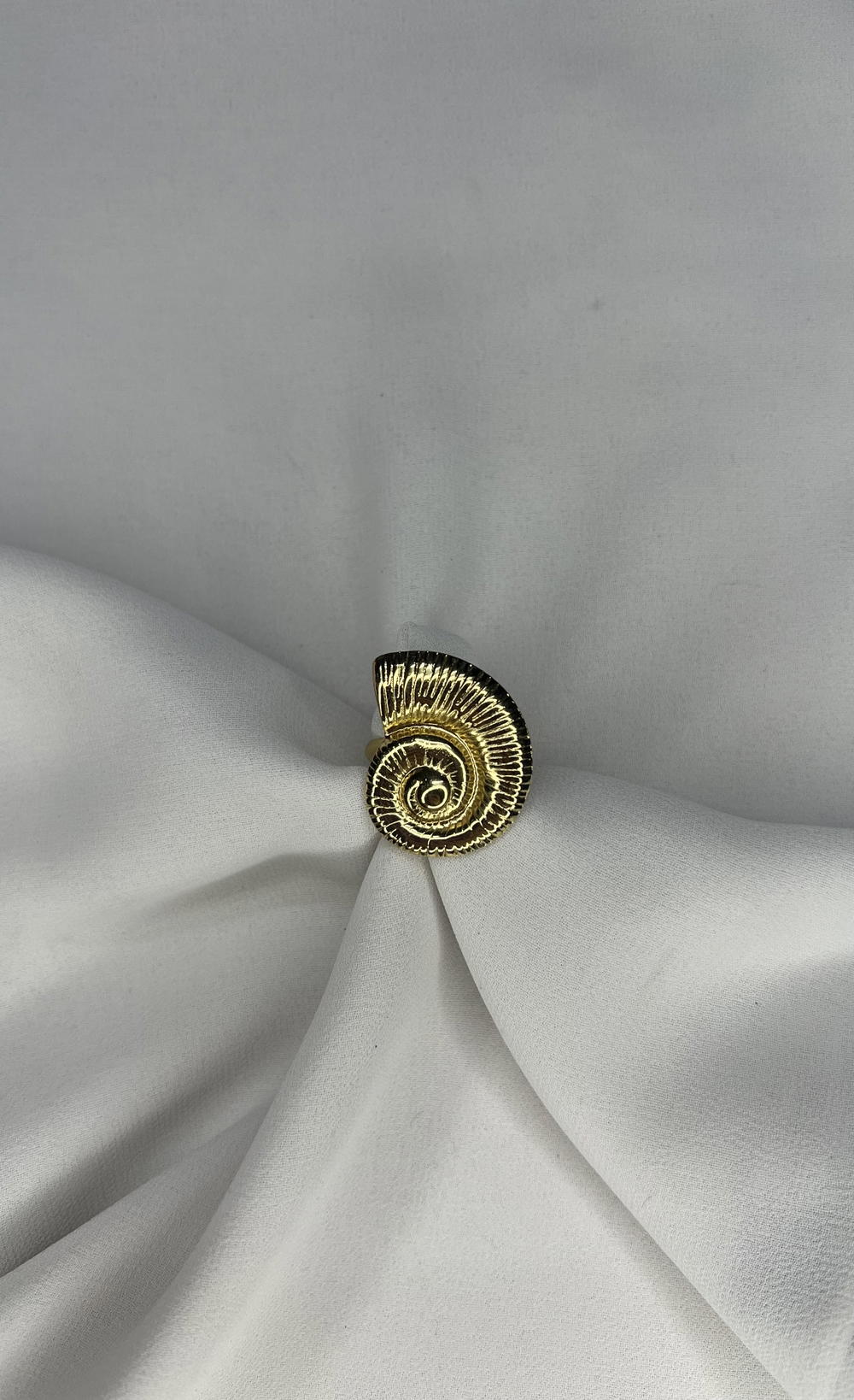 shell ring  Preview Image