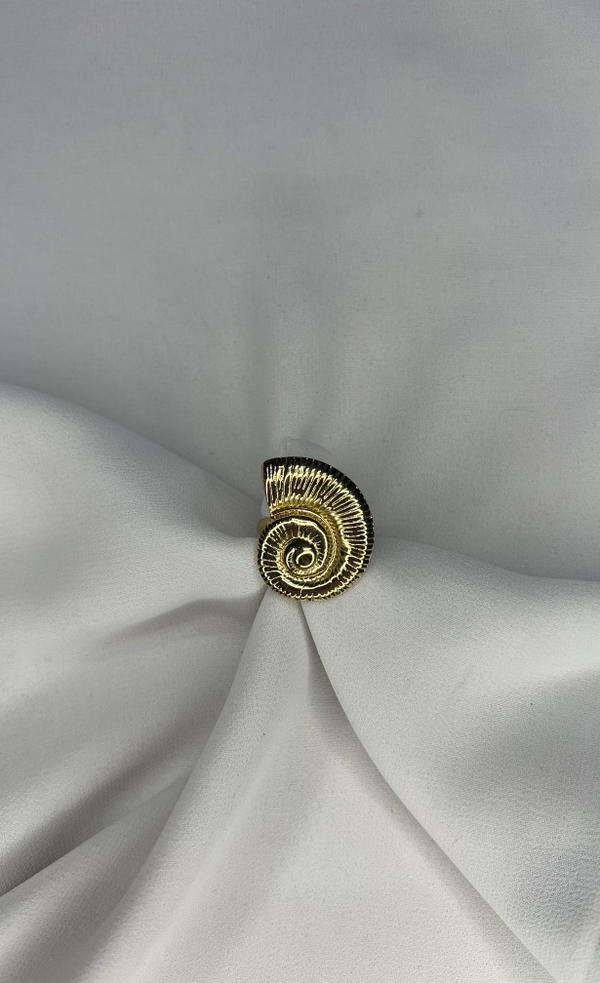 shell ring  Image 1 Preview