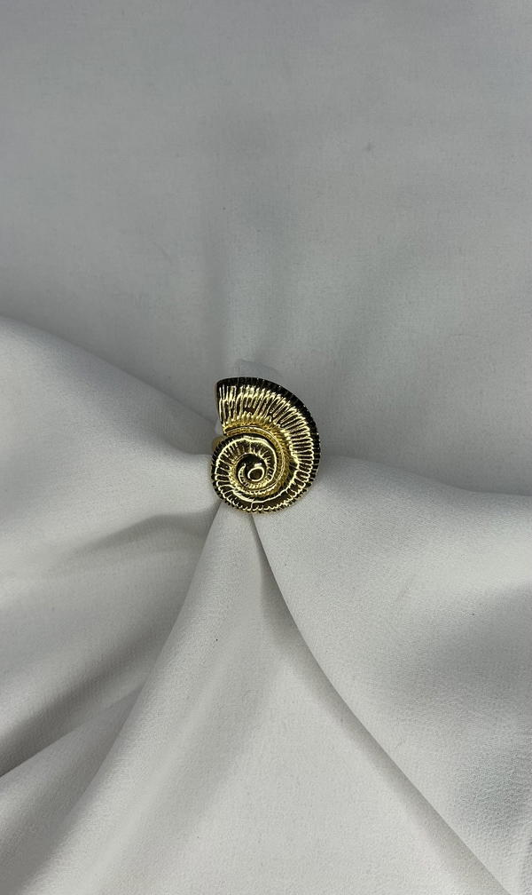 shell ring  Image 2 Preview