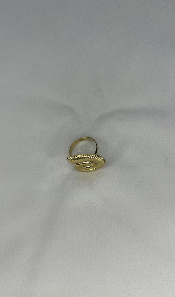 shell ring  Image 3 Preview