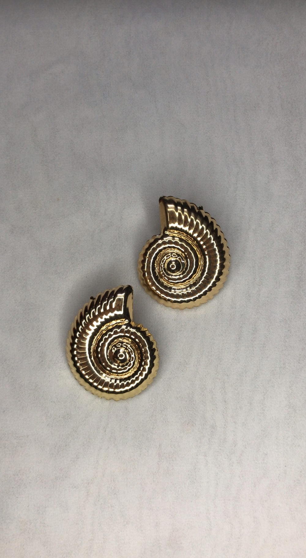 shells earrings  Preview Image