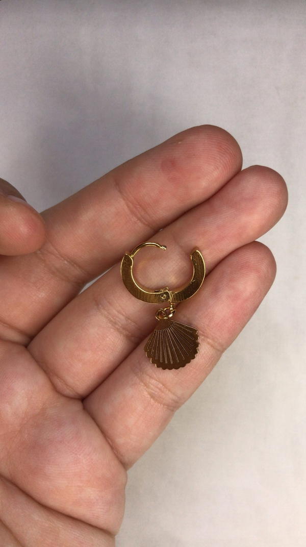 shells earrings  Image 3 Preview