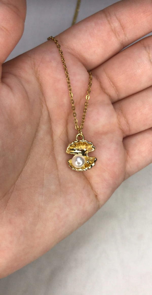 shells necklaces  Image 5 Preview