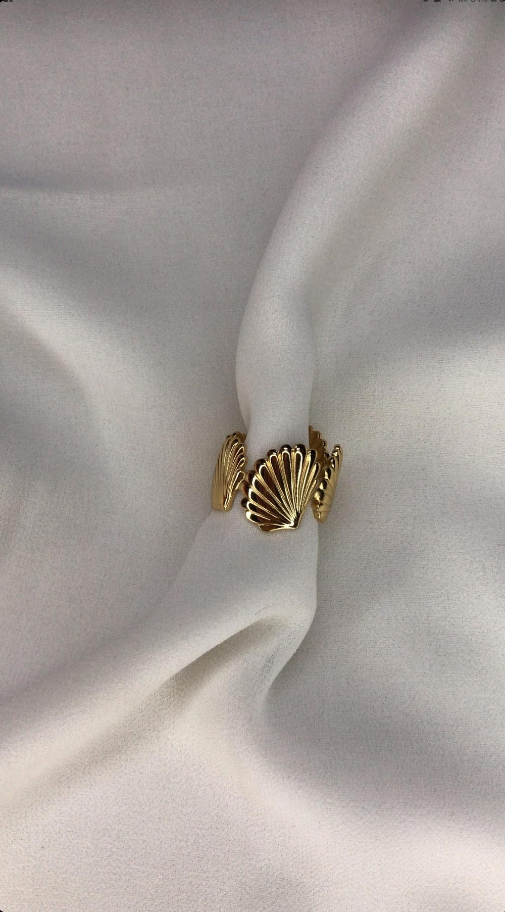 shells ring Preview Image