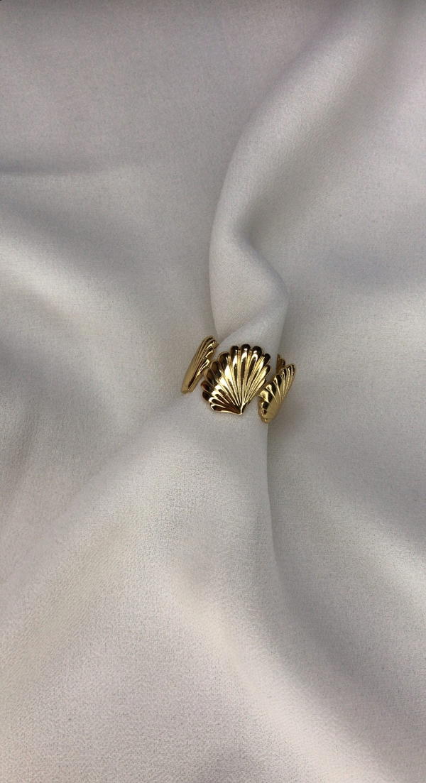 shells ring Image 4 Preview