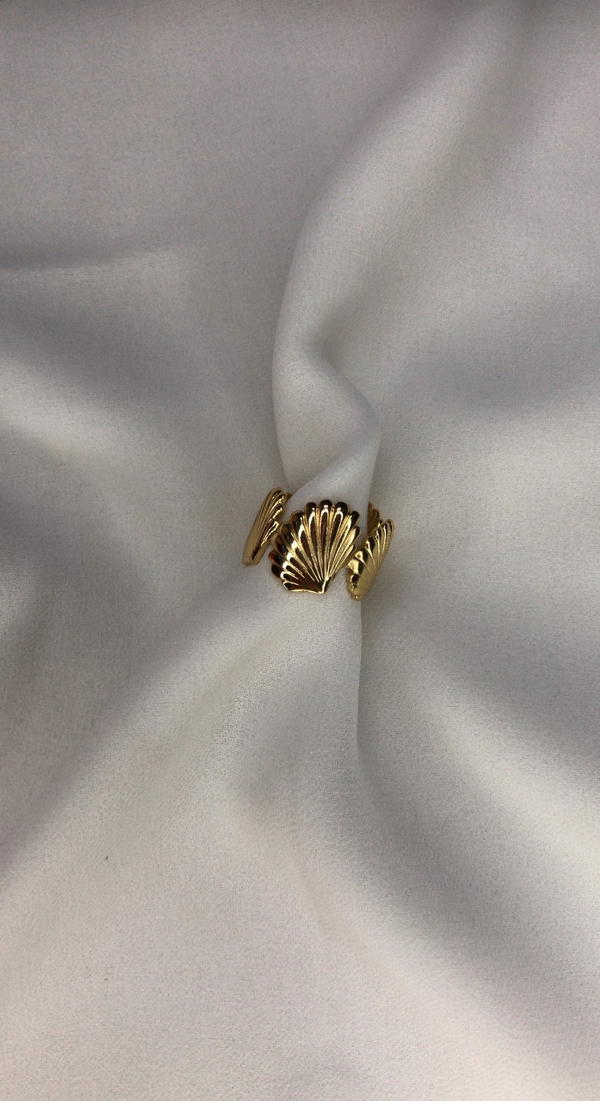 shells ring Image 5 Preview