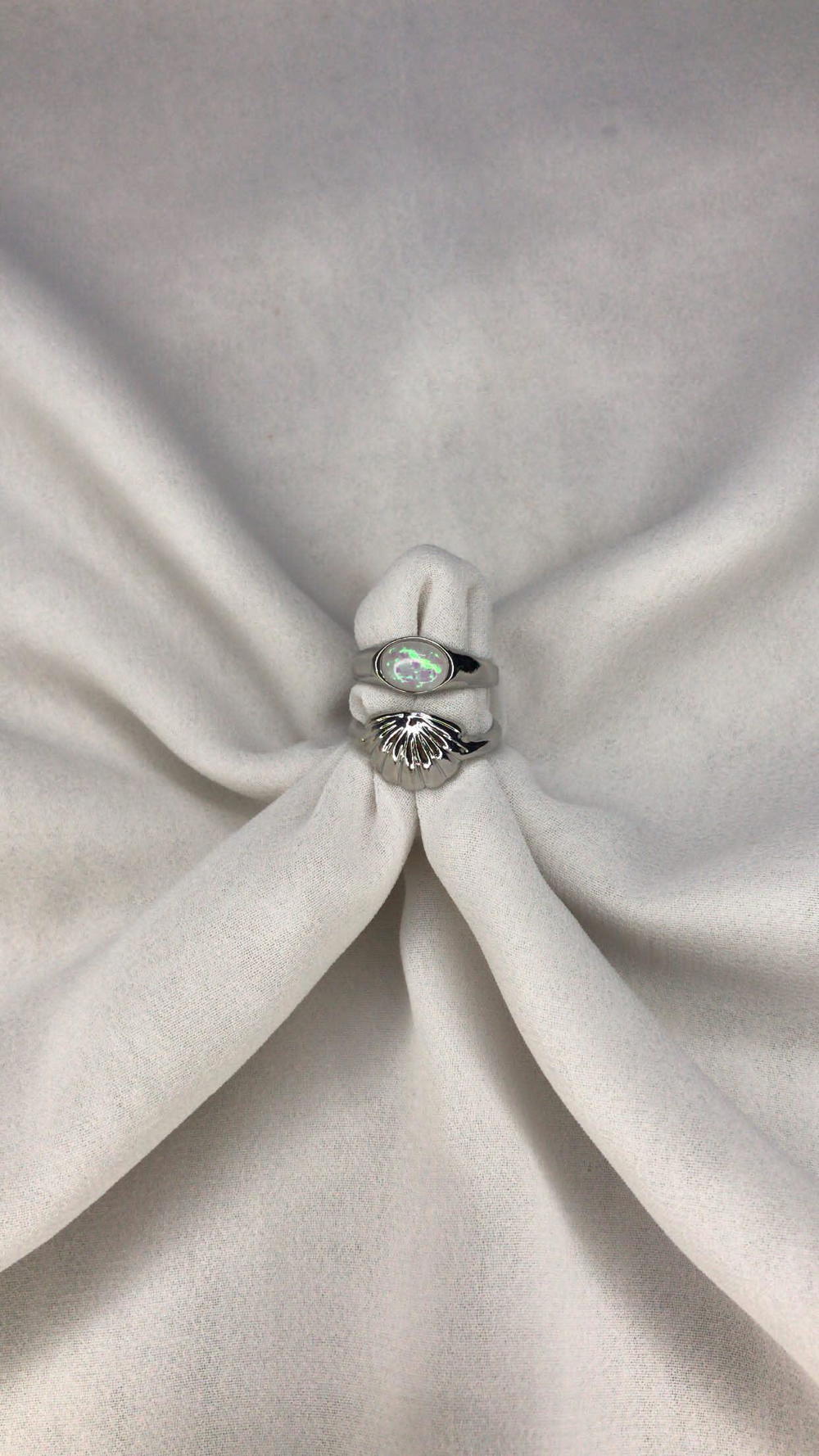 shells rings Preview Image