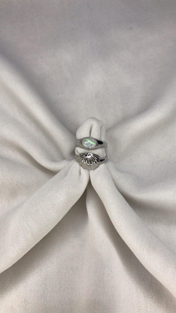 shells rings Image 1 Preview