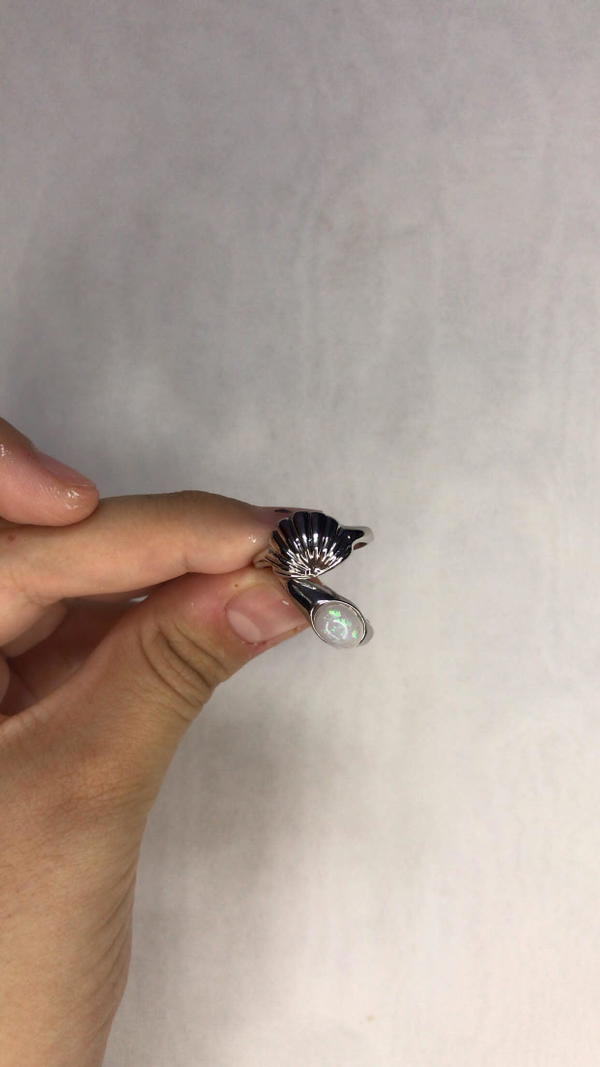 shells rings Image 3 Preview