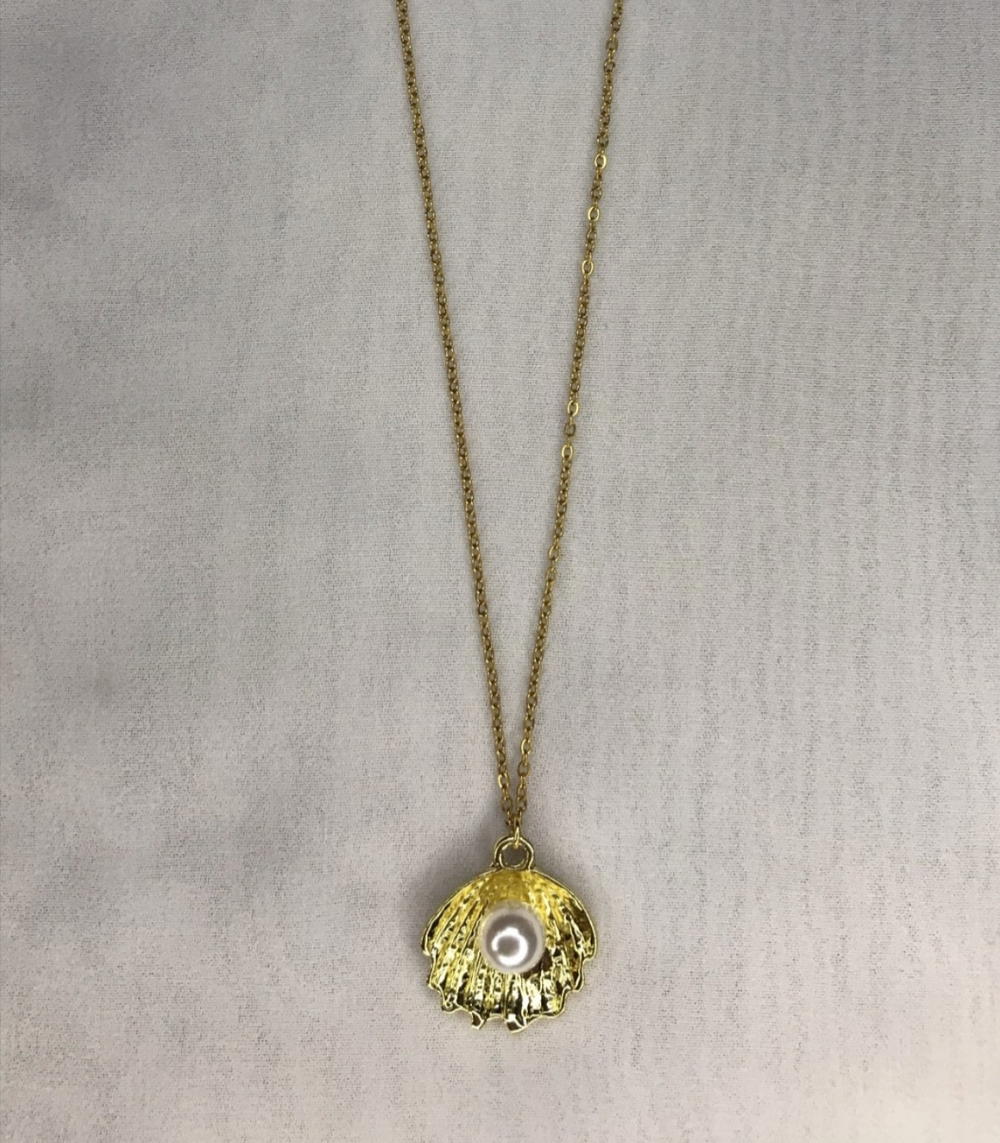 shells necklace  Preview Image