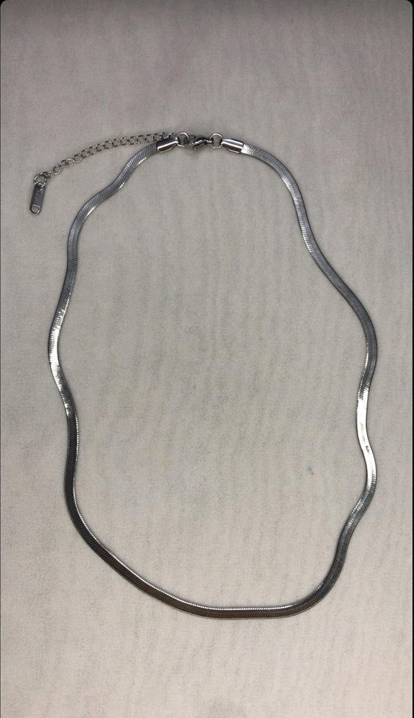 silver necklace  Image 1 Preview
