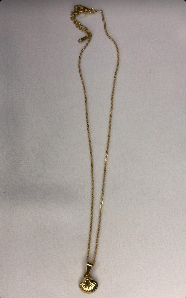 small shell necklace  Image 2 Preview