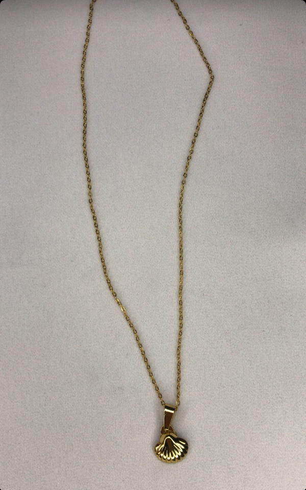 small shell necklace  Image 4 Preview