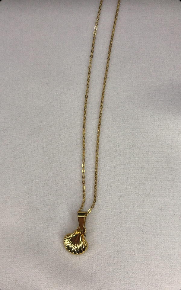 small shell necklace  Image 5 Preview