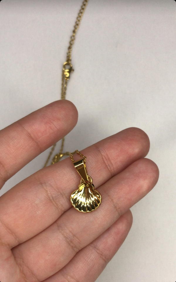 small shell necklace  Image 6 Preview