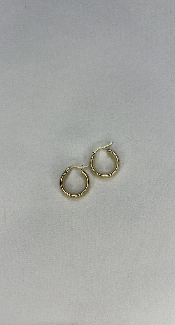 stainless hoops  Image 1 Preview