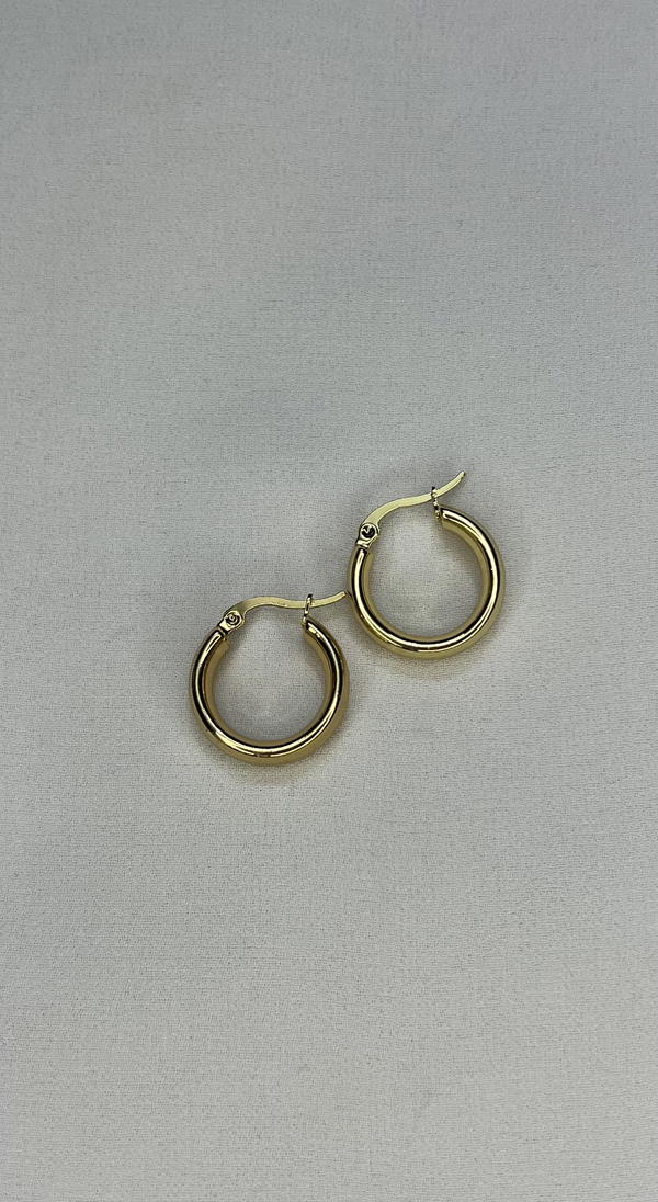 stainless hoops  Image 2 Preview
