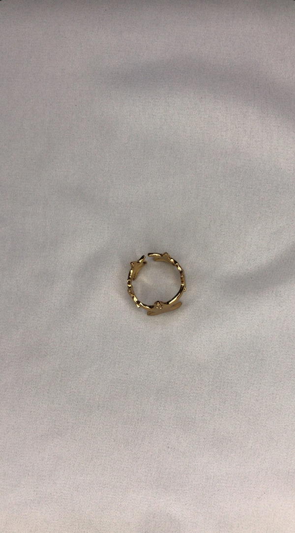 stars ring  Image 6 Preview