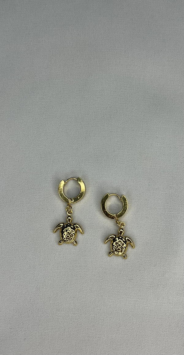 turtles stainless earrings  Image 3 Preview