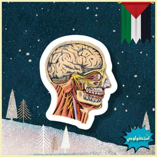 Skull Image 1 Preview