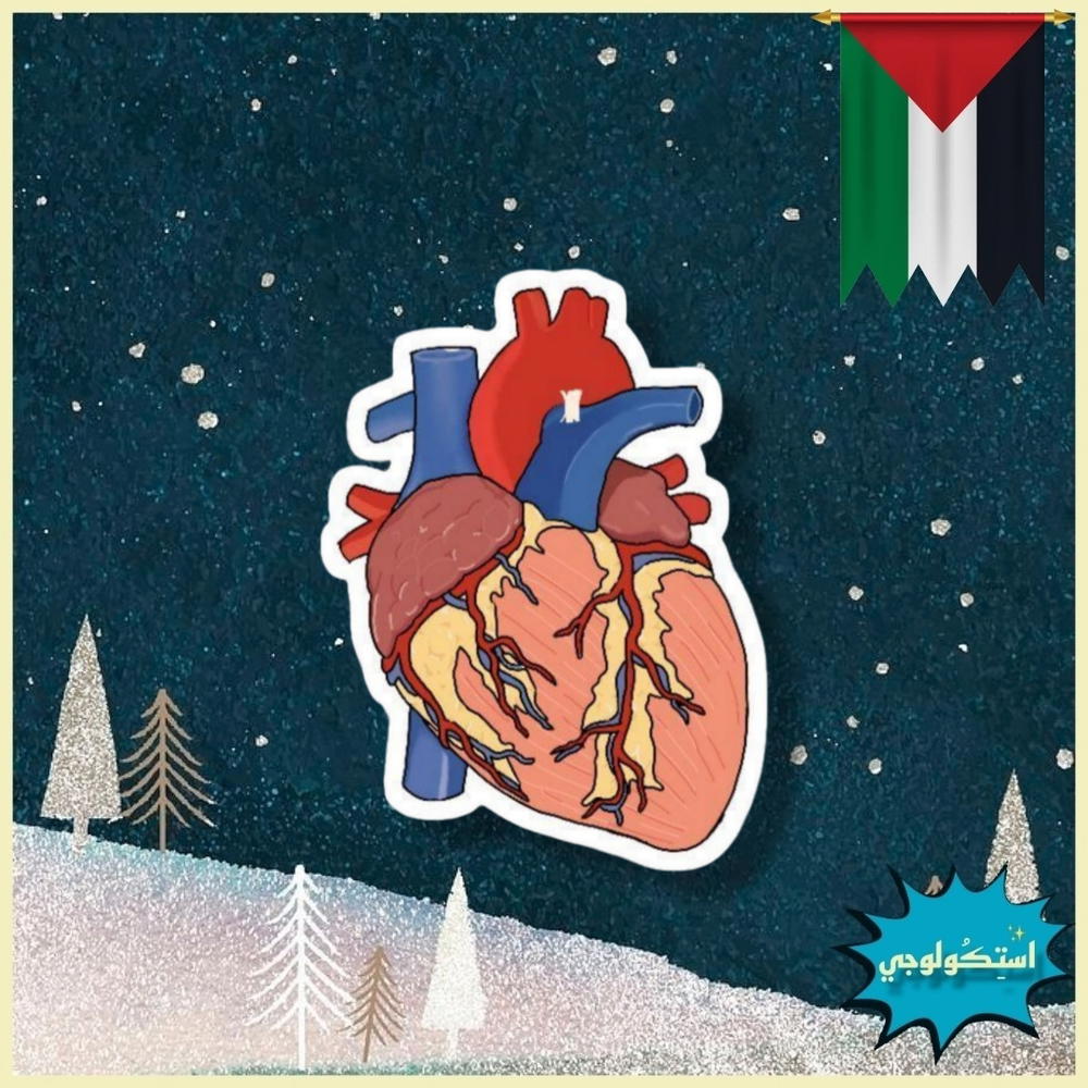 Heart Preview Image