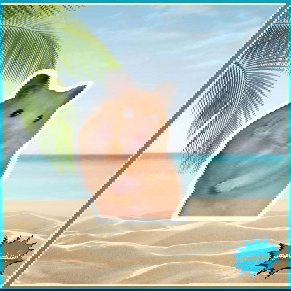 funny sticker Preview Image
