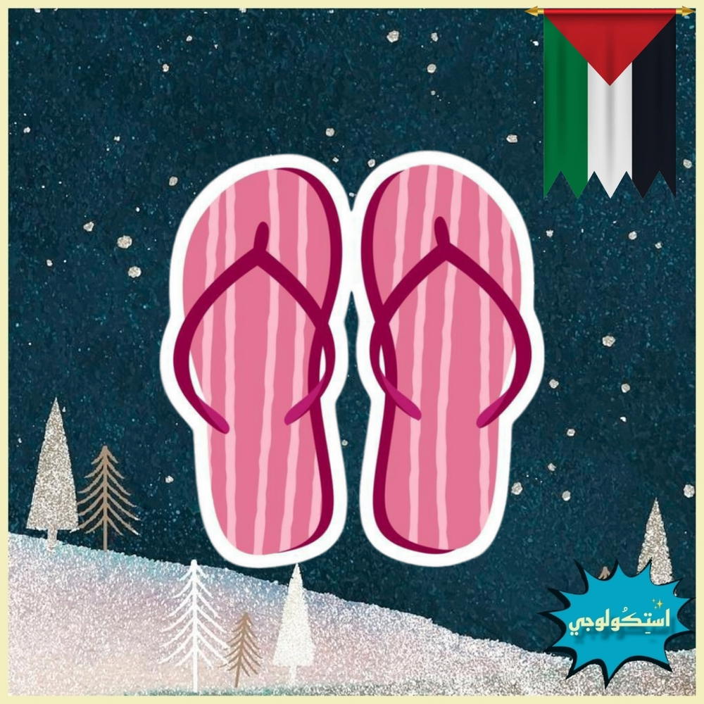 Slippers Preview Image