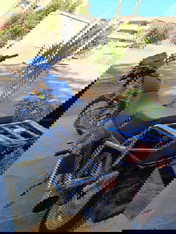 مسطرة هوجان 4 مصري  Image 5 Preview
