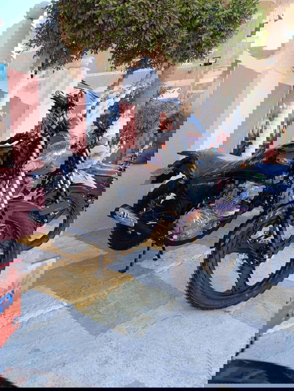 هوجان 3A ارنبة مصري  Image 2 Preview