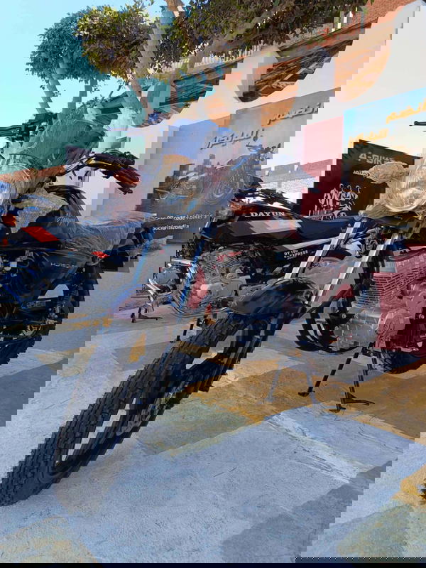 هوجان 3A ارنبة مصري  Image 3 Preview