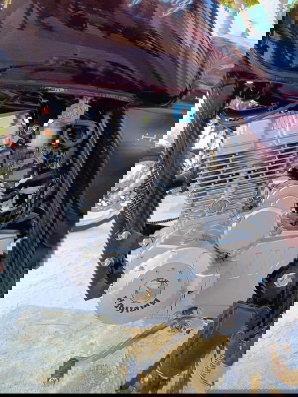 هوجان 3A ارنبة مصري  Image 4 Preview