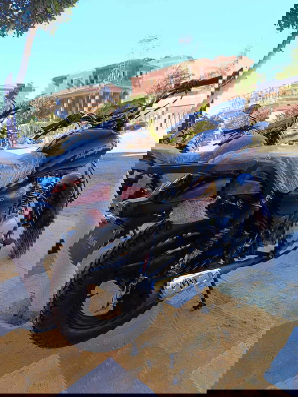 هوجان 3A ارنبة مصري  Image 6 Preview