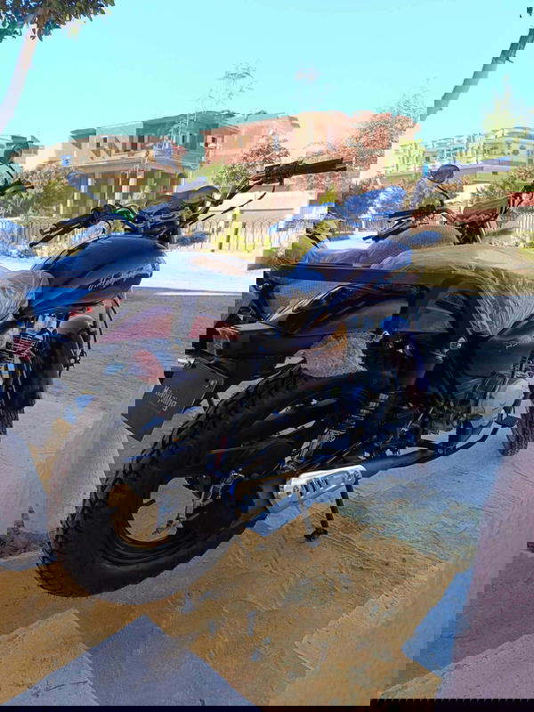 هوجان 3A ارنبة مصري  Image 7 Preview