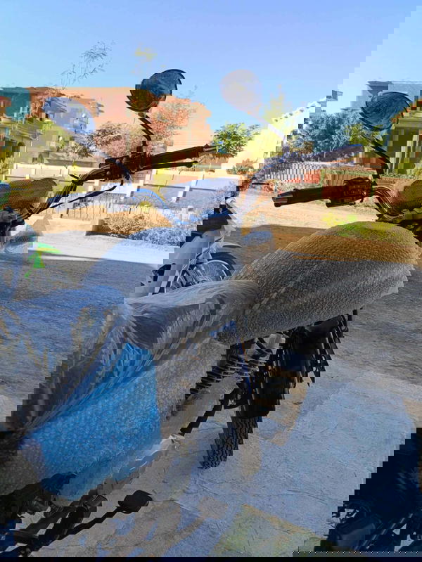 هوجان 3A ارنبة مستورد  Image 2 Preview