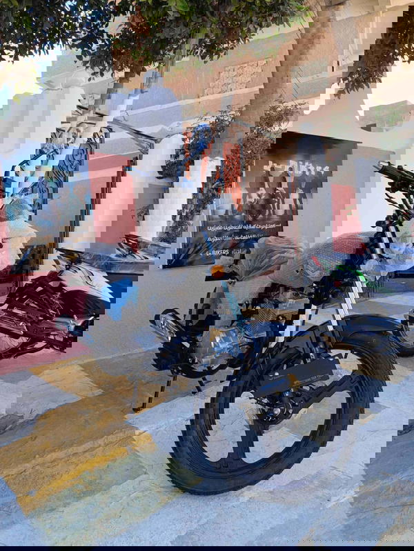 هوجان 3A ارنبة مستورد  Image 5 Preview