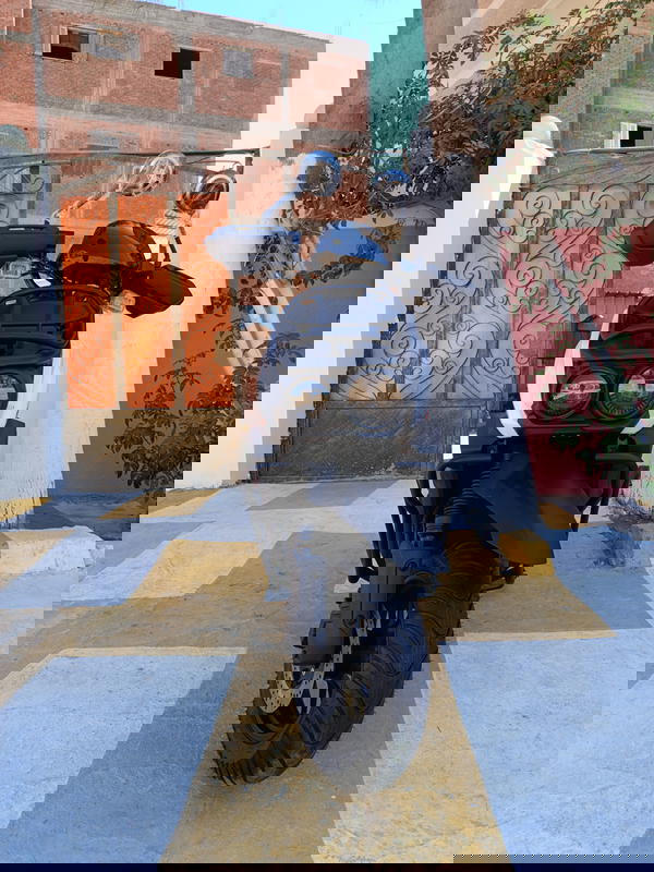 vigory keet Image 5 Preview