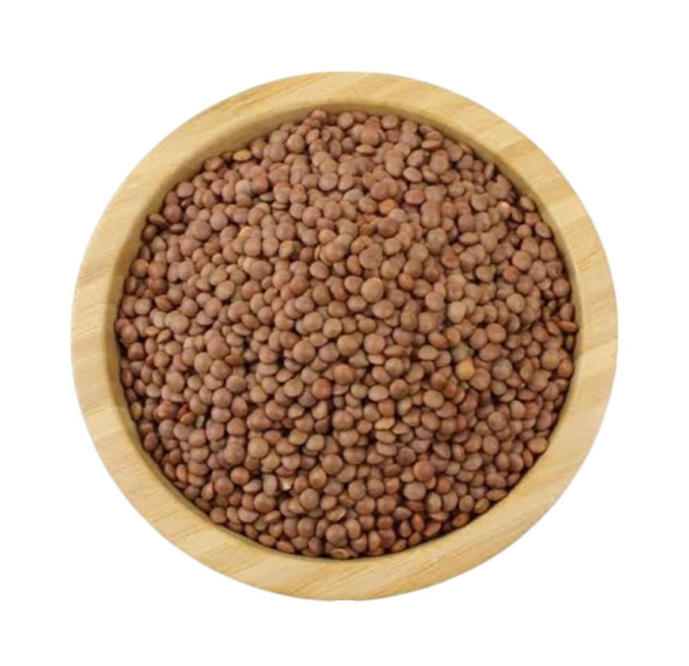 عدس بجبة Preview Image