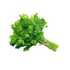 باقة كزبرة طازجة Image 1 Preview