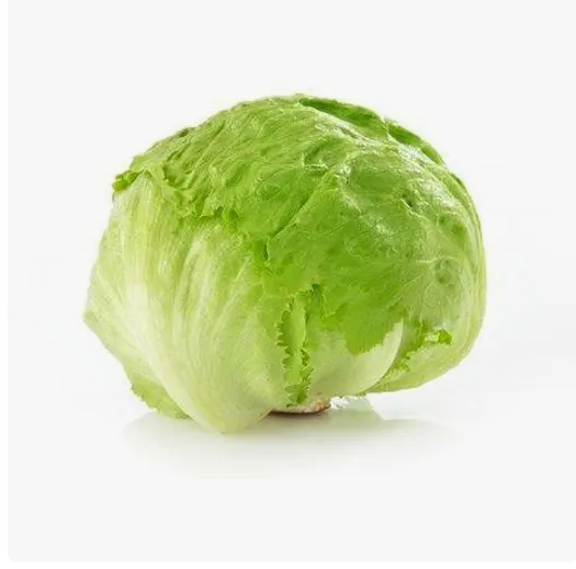 خس آيسبرغ كيلو Preview Image