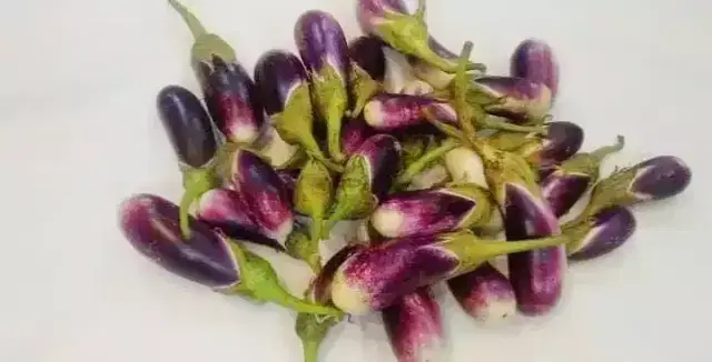 باذنجان موف Preview Image