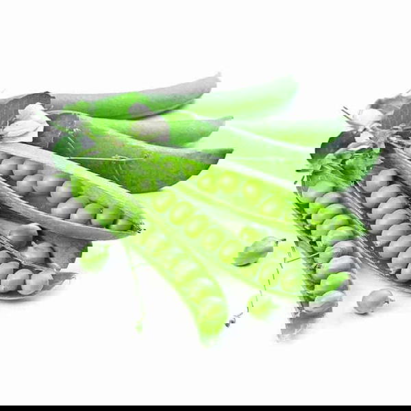 بسلة Image 1 Preview