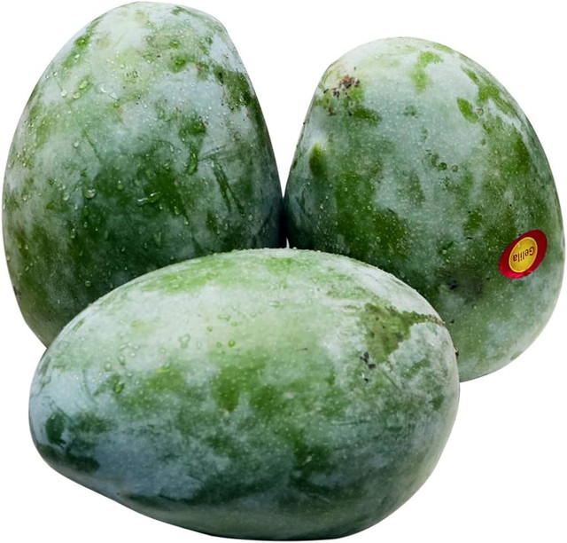 مانجا كيت Preview Image