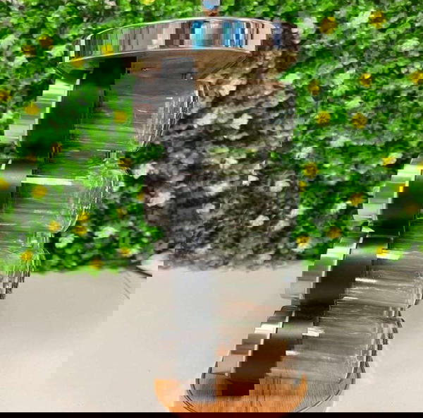 طقم التوابل Image 1 Preview