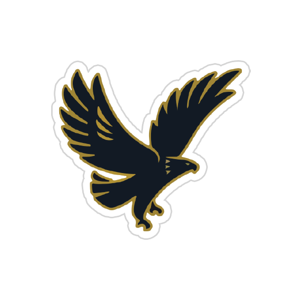 Al Ahly FC {3} Preview Image